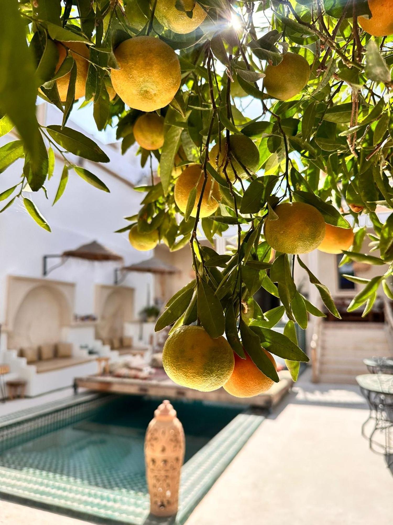 타라우단트 Dar Salam Souss B&B 외부 사진